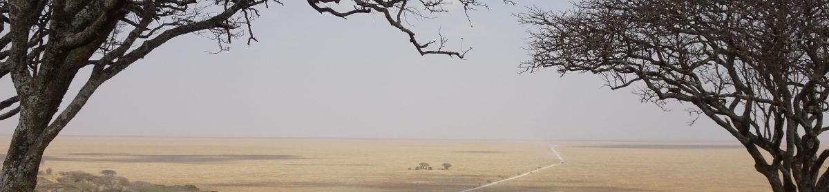 Reise ins Nahe und Ferne